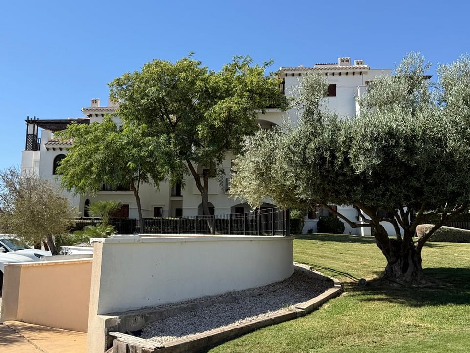 full_1476354_65095186