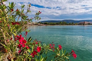 Akbuk - Turkey. Turkish Connextions