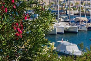 Altinkum - Turkey. Turkish Connextions