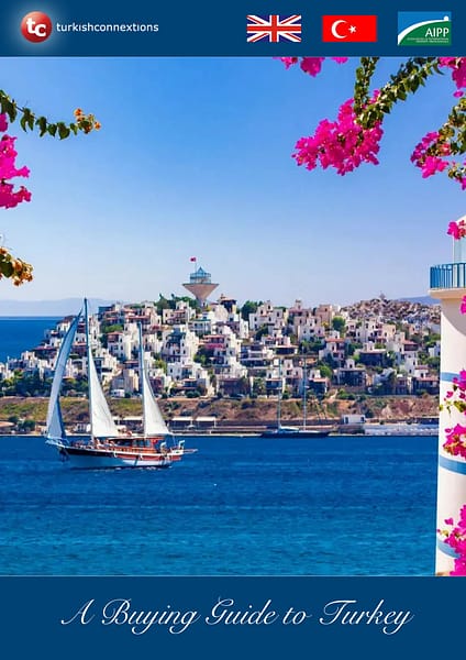 Turkey Buying Guide