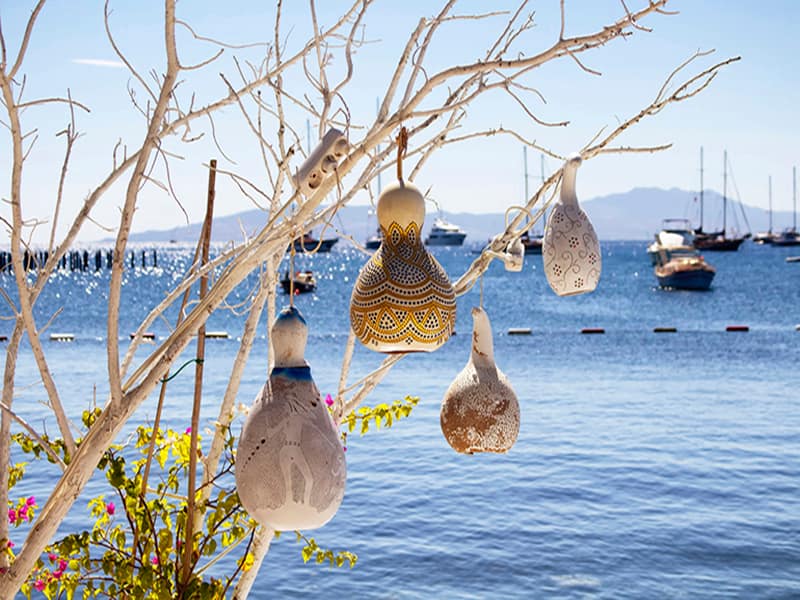 Cycle and explore Turkey’s Aegean Coast