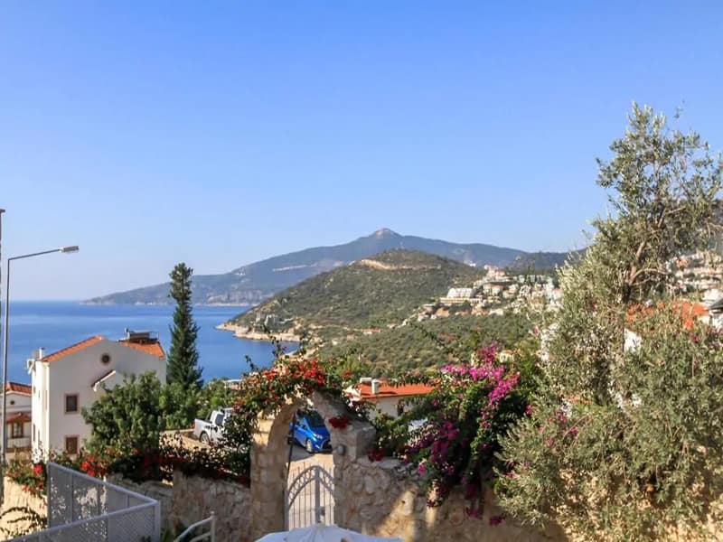 Buying Guide to Turkey