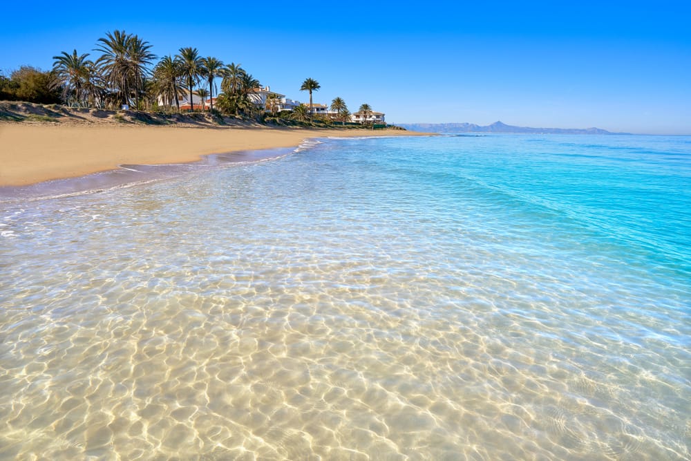 UK & Dutch Buyers Moving To the Costa Blanca - The AgencyRE