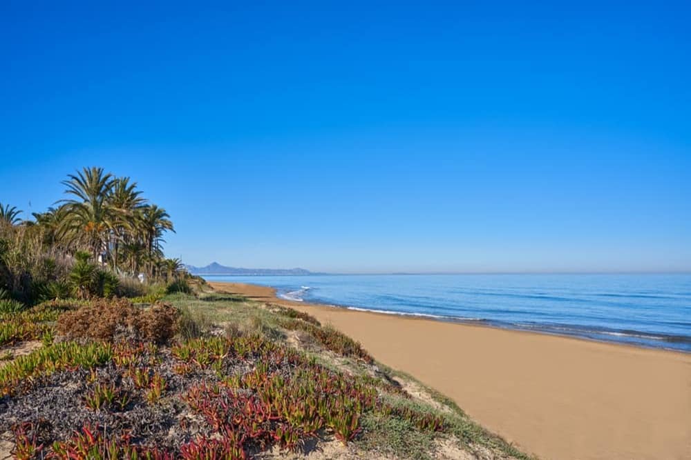 Invest in the Costa Blanca for 2025 - The Agency RE - Luxury Property