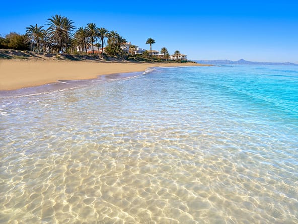 UK & Dutch Buyers Moving To the Costa Blanca - The AgencyRE