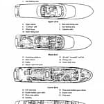 STAR-OF-THE-SEA-GA-scRtTlxz