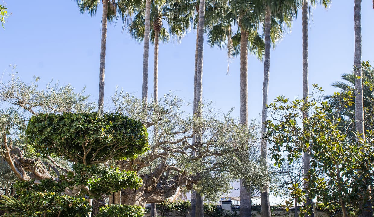 hh59929433-01-image-7