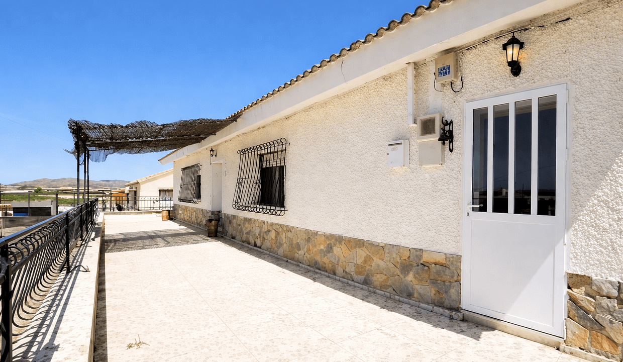 ChatGPT Image Feb 19, 2026, 04_11_14 PM