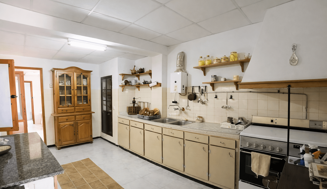 ChatGPT Image Feb 19, 2026, 04_01_30 PM