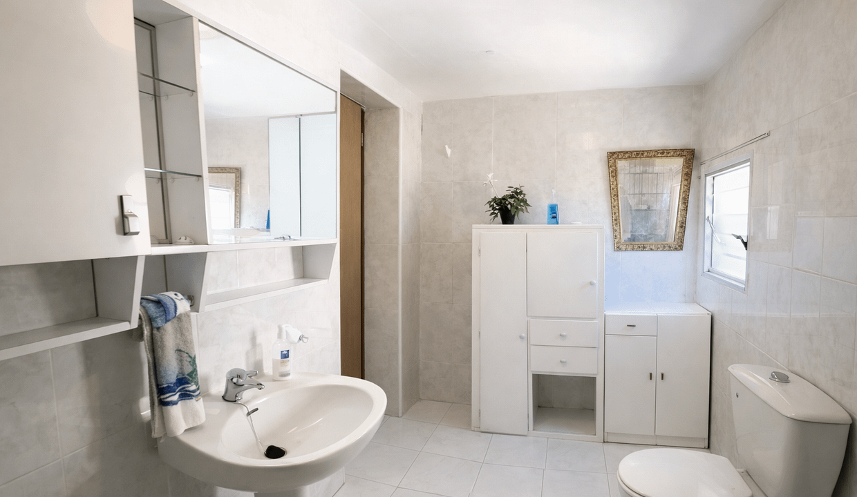 ChatGPT Image Feb 19, 2026, 04_07_39 PM