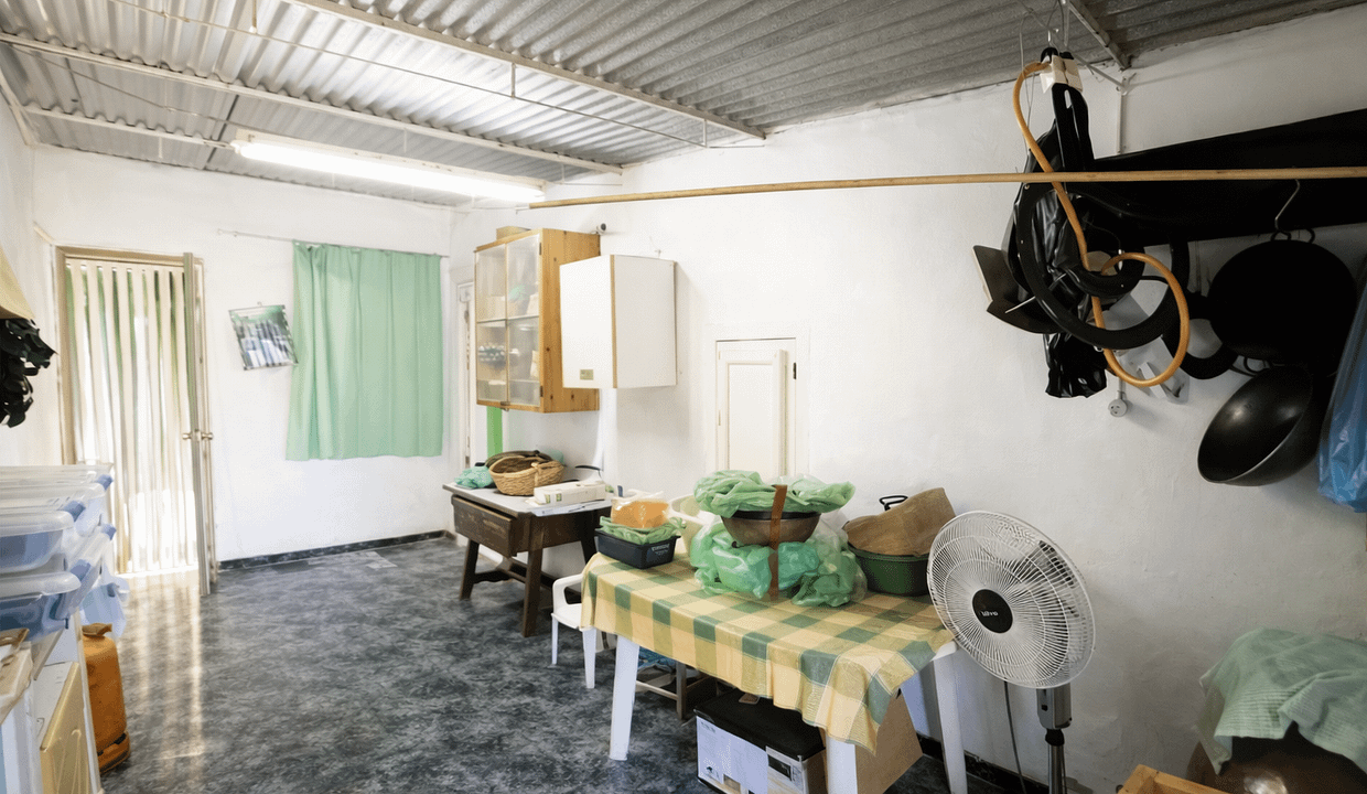 ChatGPT Image Feb 19, 2026, 04_32_52 PM