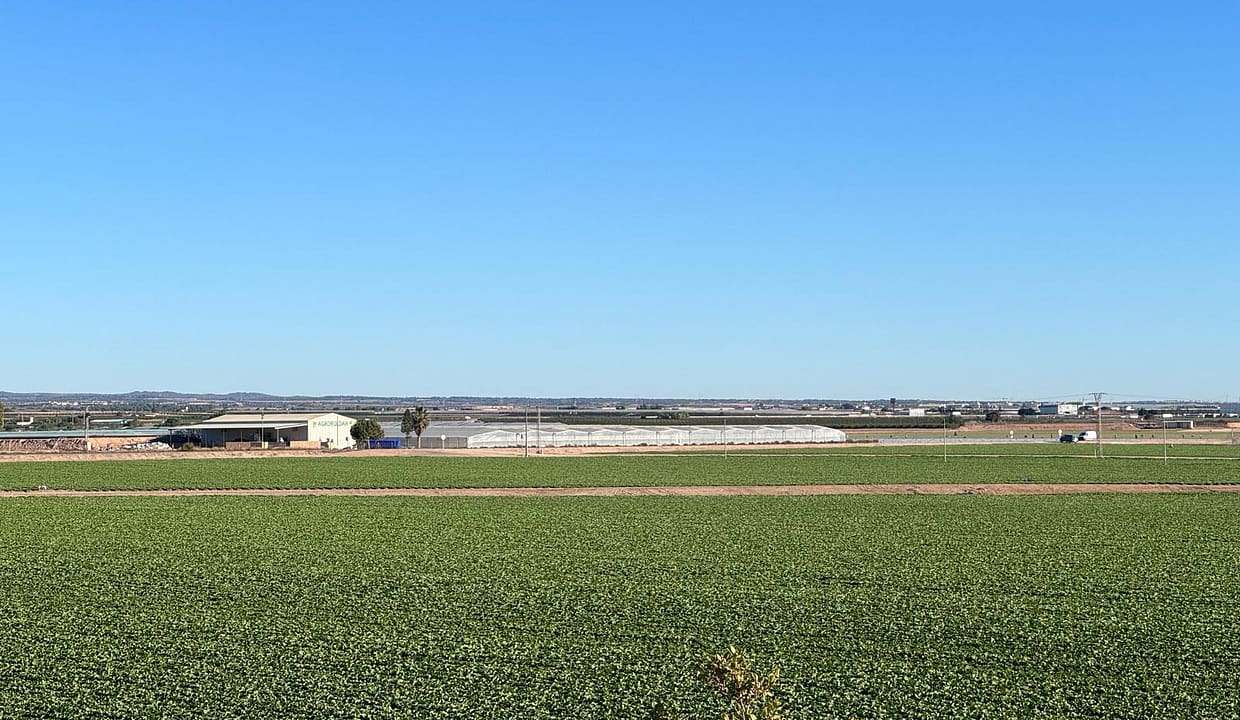 WhatsApp-Image-2024-03-05-at-18.56.22-24