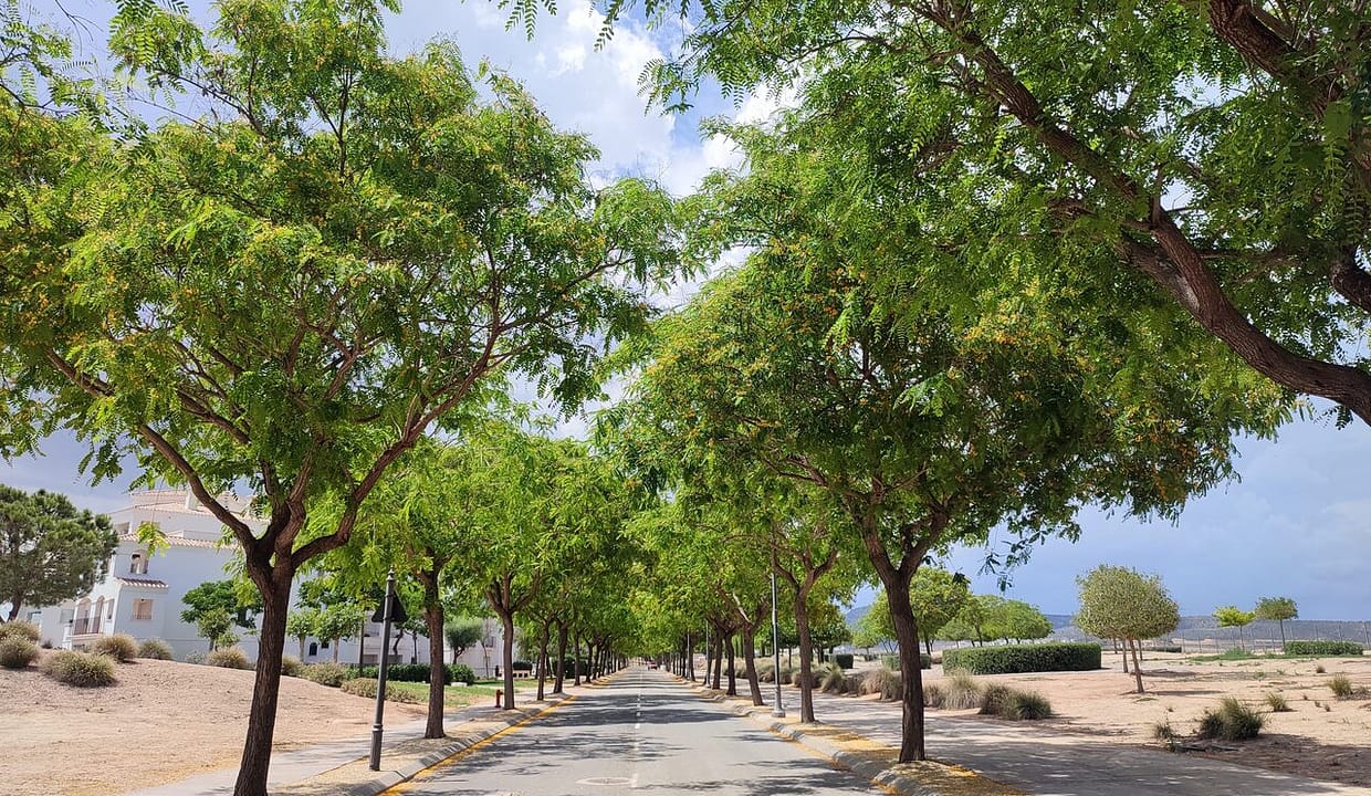 30944-apartment-for-sale-in-hacienda-riquelme-golf-resort-24661509-large