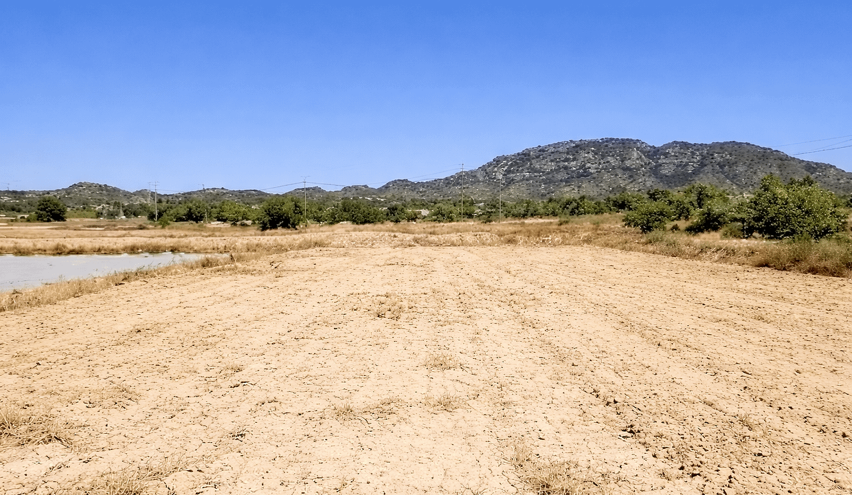 ChatGPT Image Feb 19, 2026, 04_34_49 PM