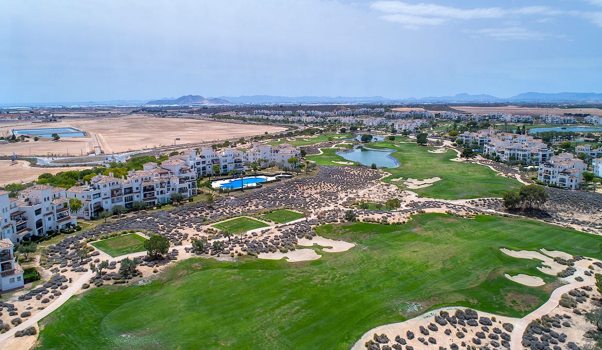 hh64579138-01-image-43