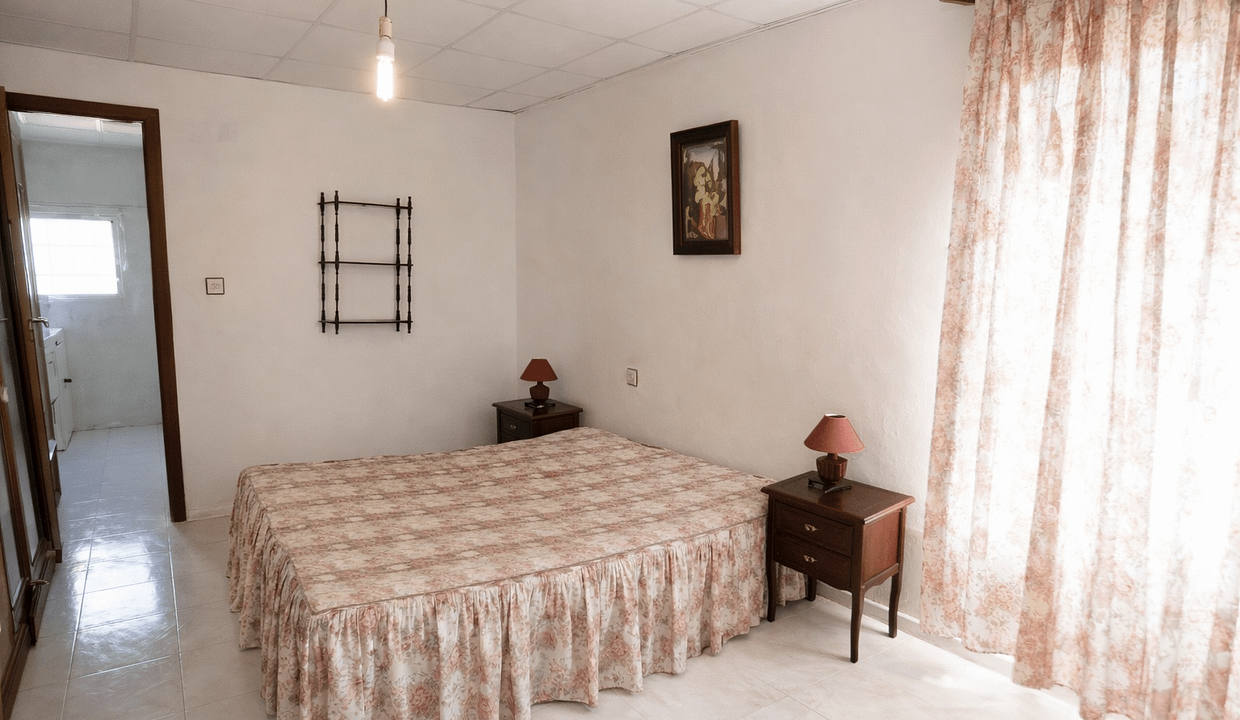 ChatGPT Image Feb 19, 2026, 04_03_44 PM