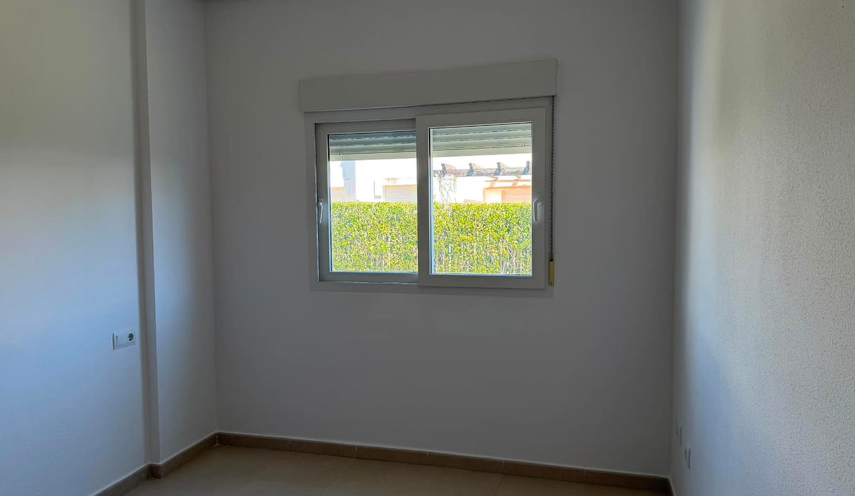 IMG-20260519-WA0024