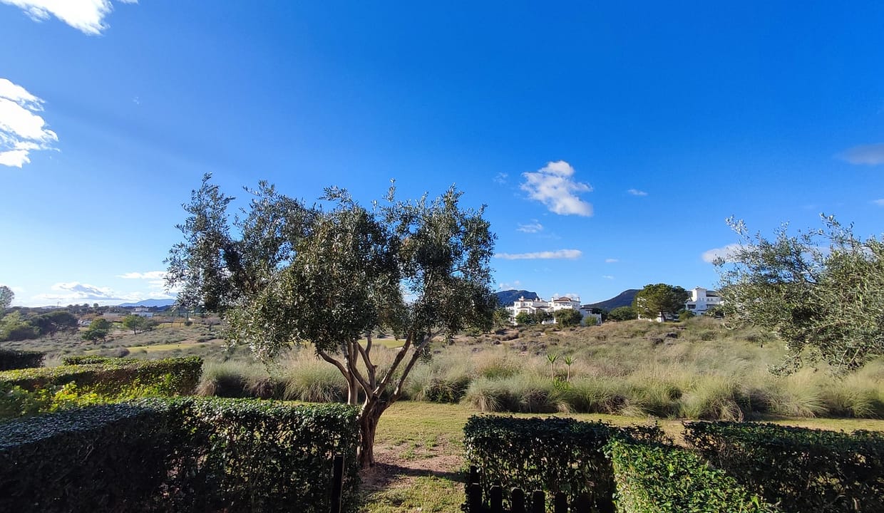 30564-apartment-for-sale-in-hacienda-riquelme-golf-resort-23438712-large