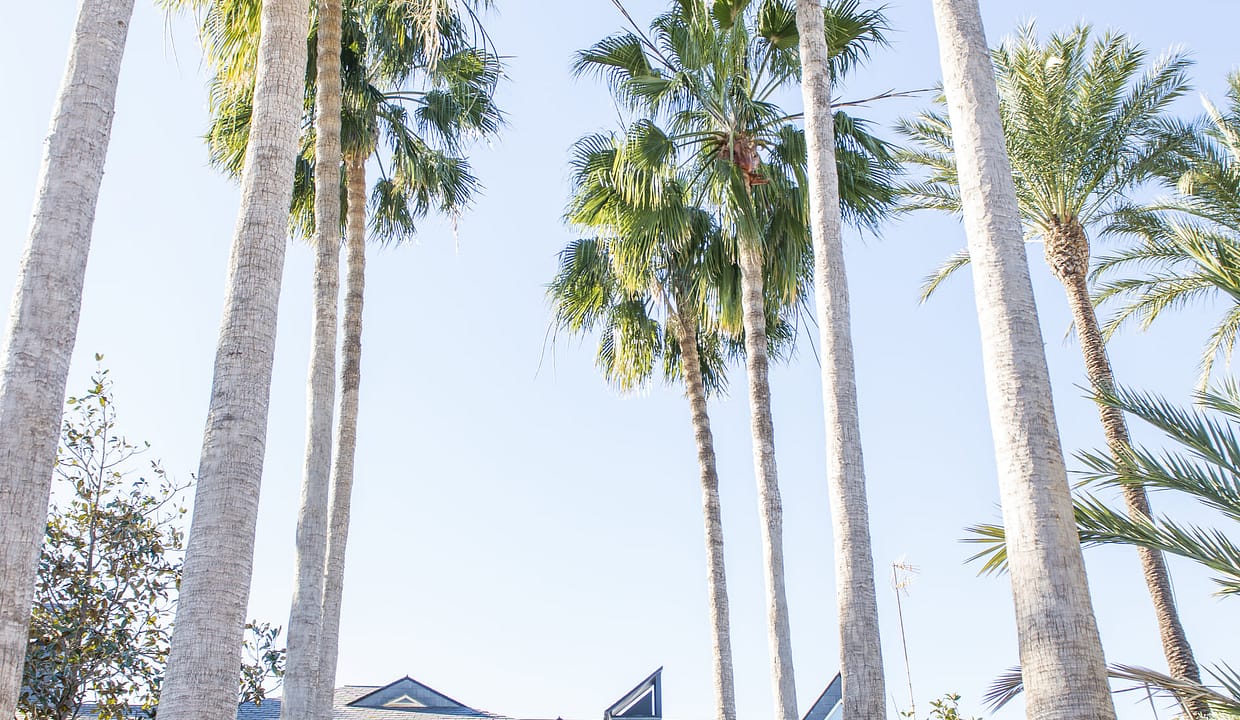 hh59929433-01-image-43