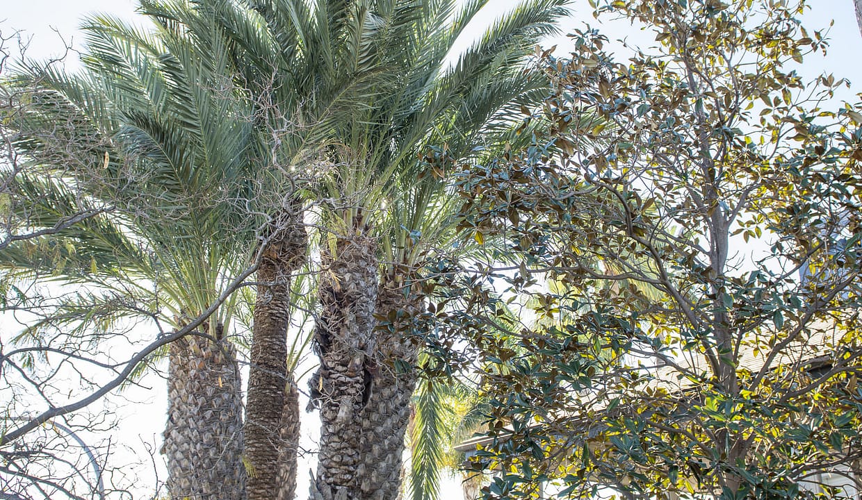 hh59929433-01-image-44