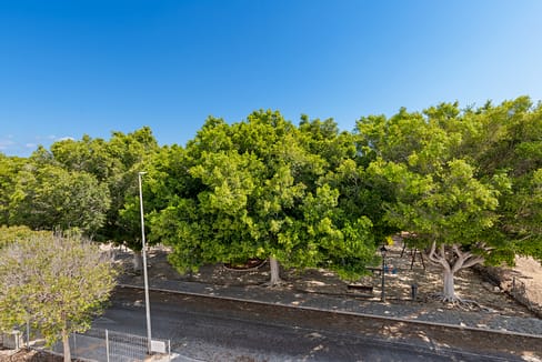 hh63389860-01-image-20