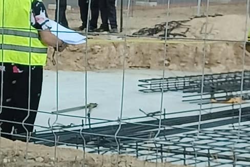 hh80558317-01-image-20