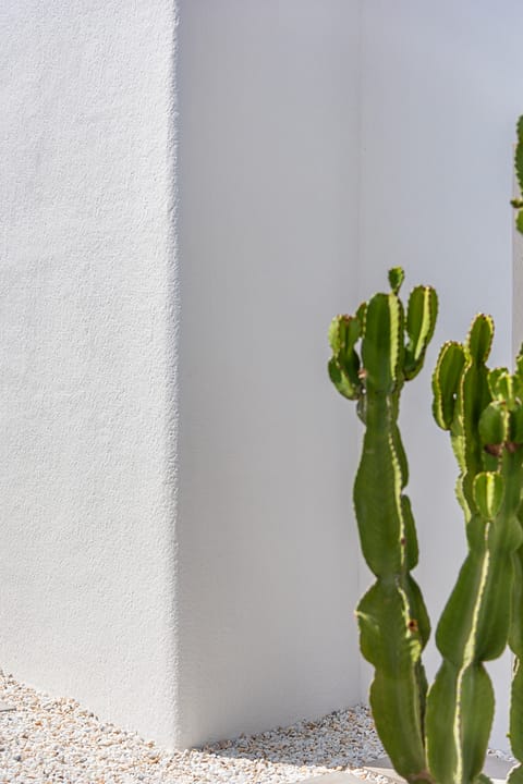 hh16050971-01-image-45