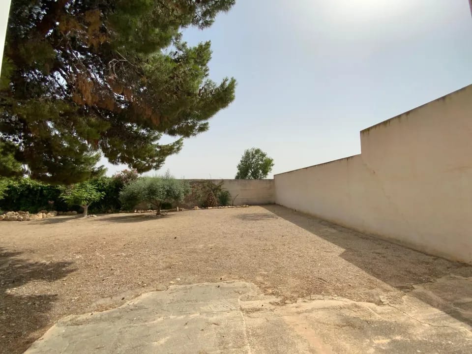 uahh2qrqymf_WhatsApp Image 2025-06-17 at 13.03.14