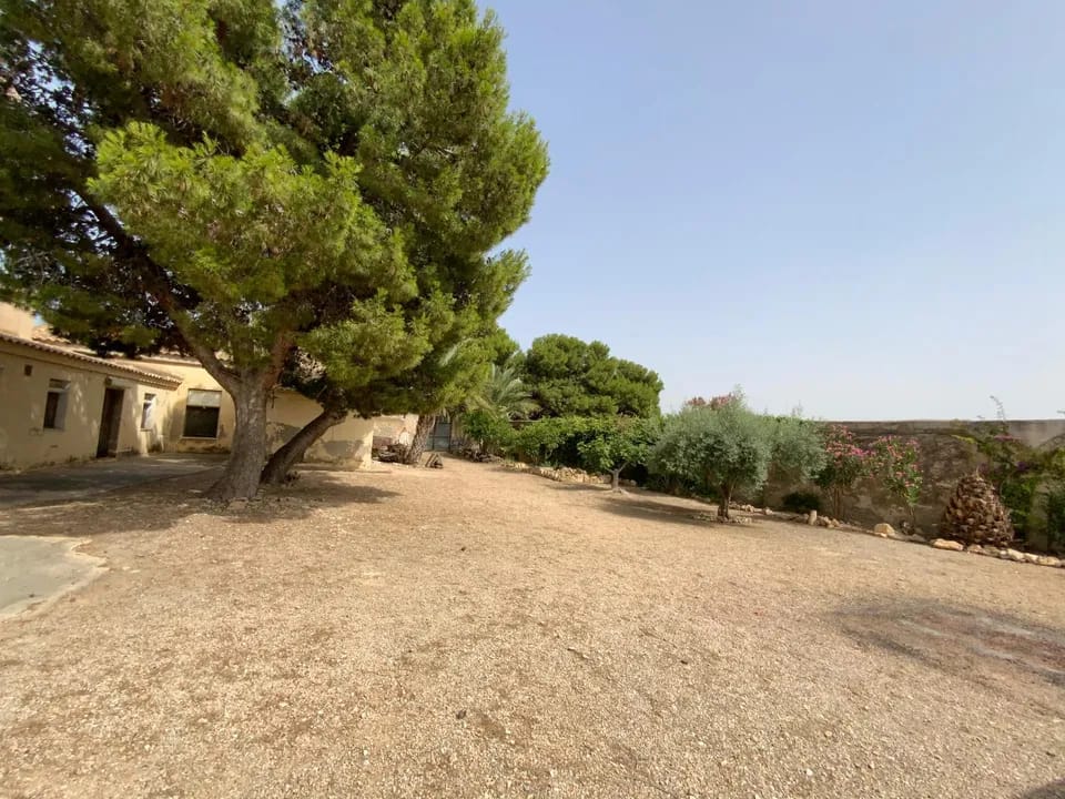 mtabz7k03rb_WhatsApp Image 2025-06-17 at 13.03.14 (2)