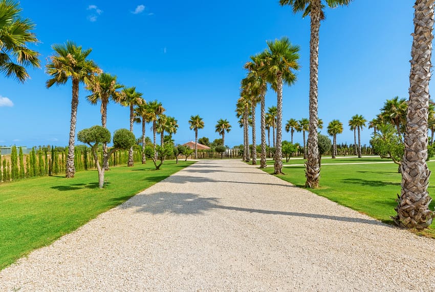 MM-003409-49-image-1