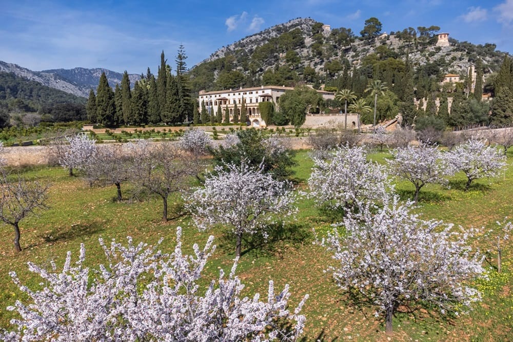 Mallorca Like a Local - Traditions & Experiences - The AgencyRE Mallorca