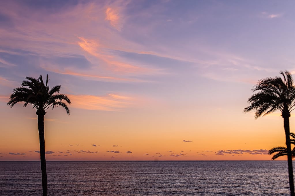 Global Prime Market Index 2025 - The AgencyRE Mallorca