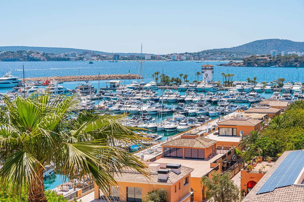 Living in Portals Nous - Your Area and Property Guide