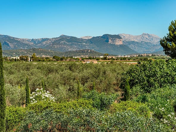 Where to Buy Property in Central Mallorca - The AgencyRE