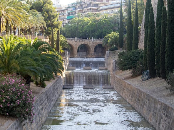 Spring in Mallorca | The AgencyRe Mallorca