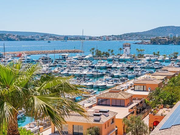 Living in Portals Nous - Your Area and Property Guide