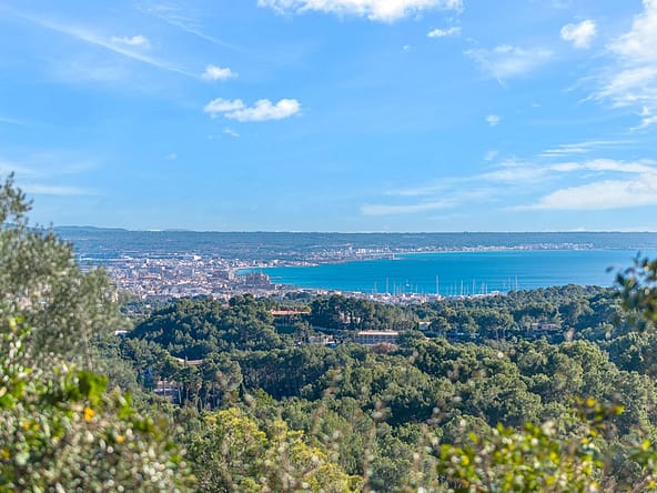 Luxury Property Guide to Son Vida - The Agency Mallorca