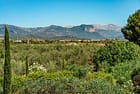 Where to Buy Property in Central Mallorca - The AgencyRE