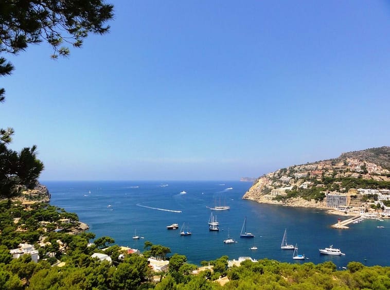 Sea View Estate Project – Andratx Hills 4