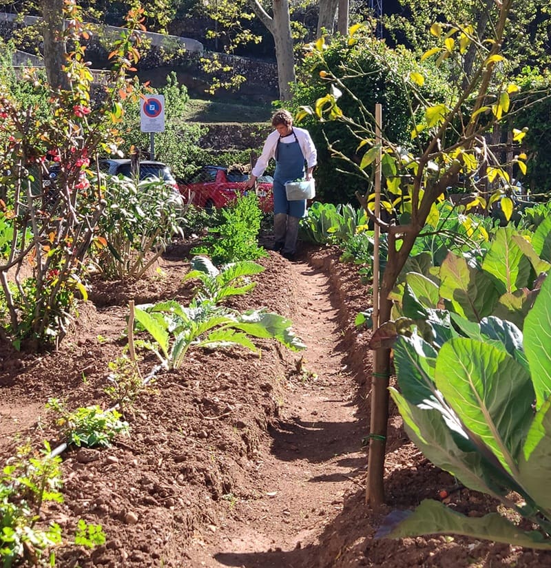 Es Taller - Valldemossa Mallorca