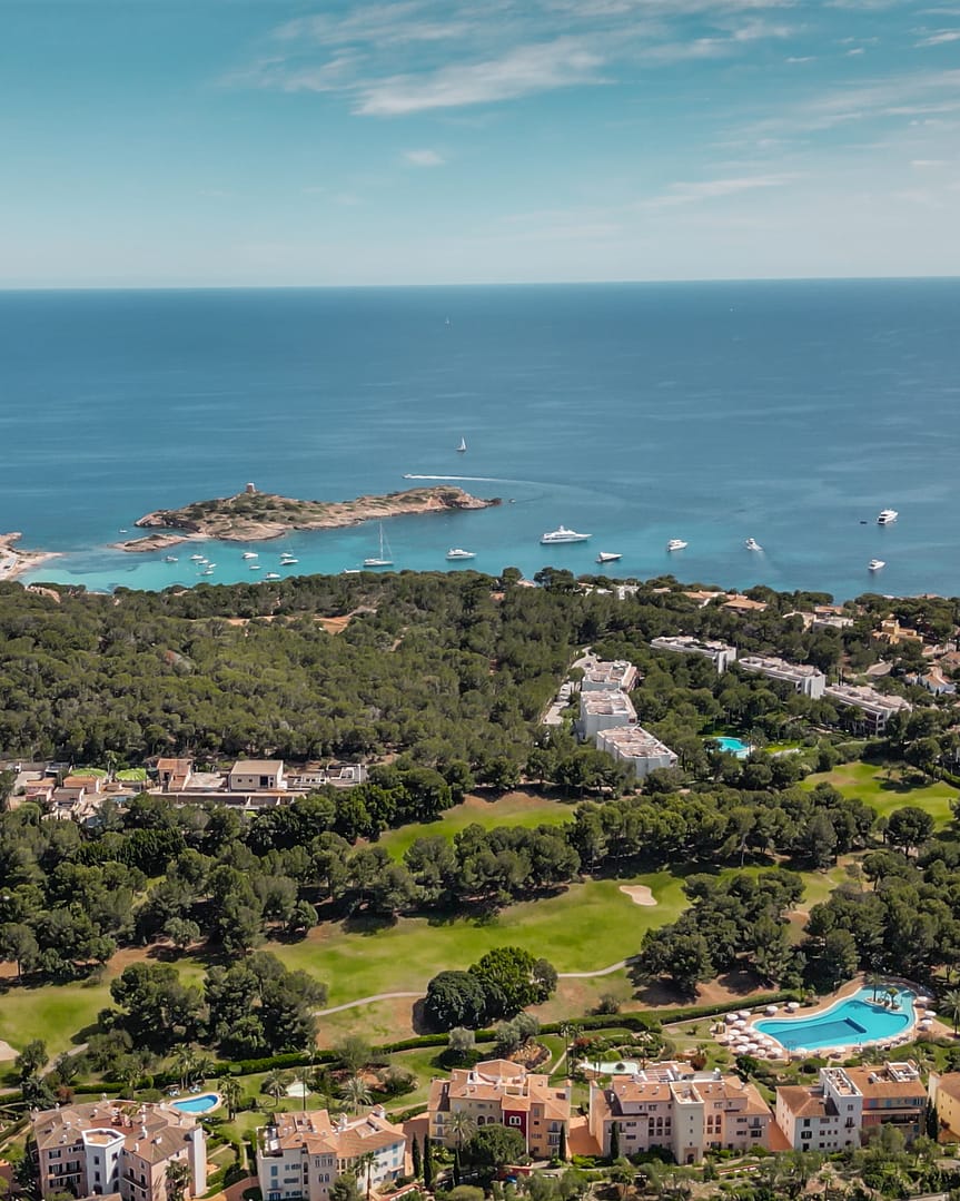 Elevated view of luxury villas integrated into the forested hillside of the Son Vida