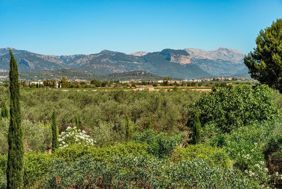 Where to Buy Property in Central Mallorca - The AgencyRE
