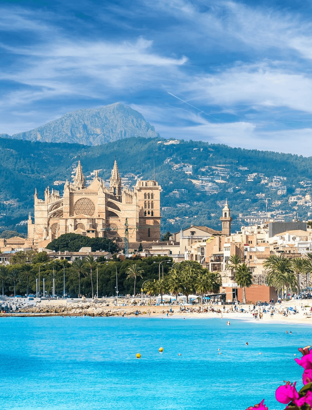 Mallorca Palma Homepage