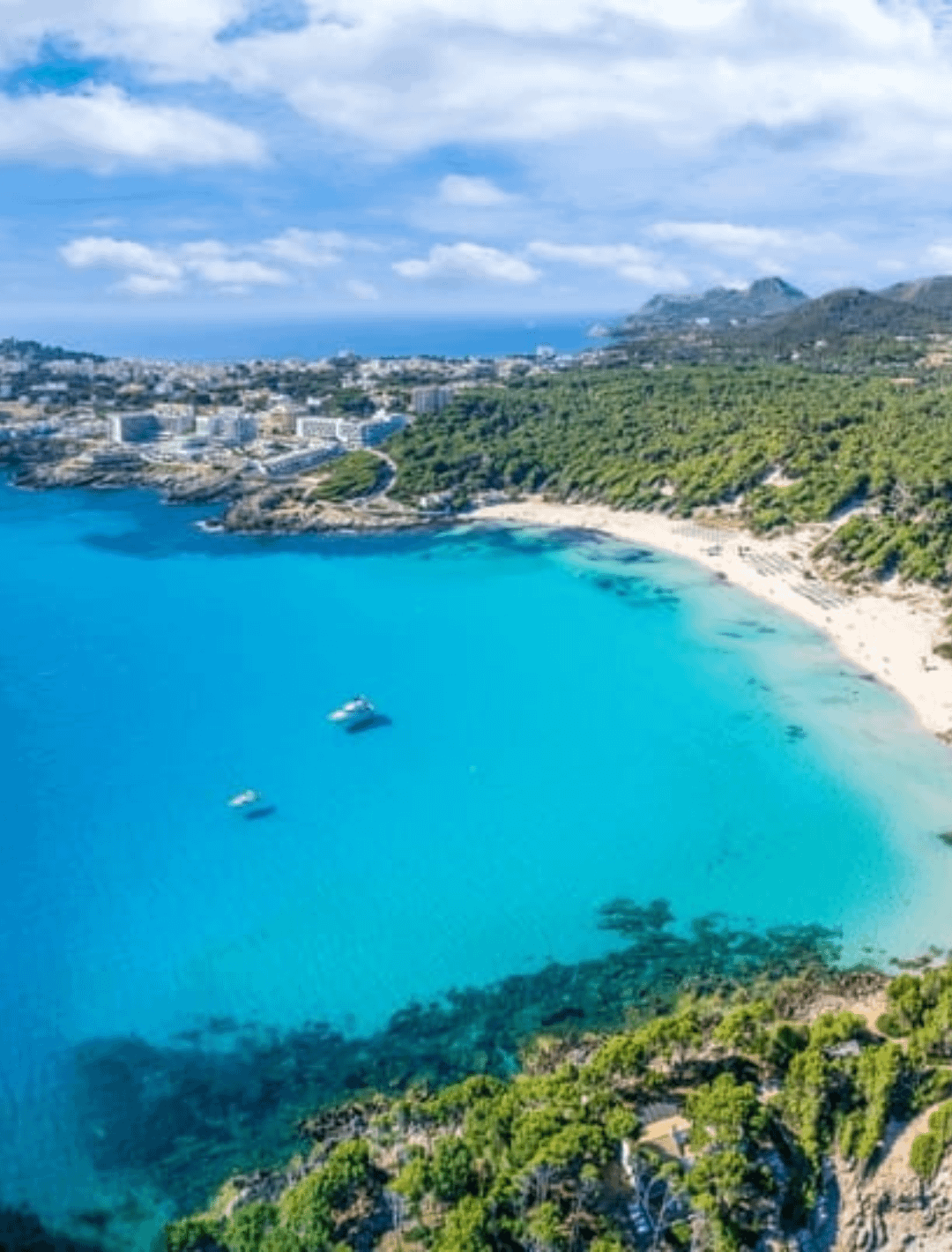 Mallorca North East Homepage