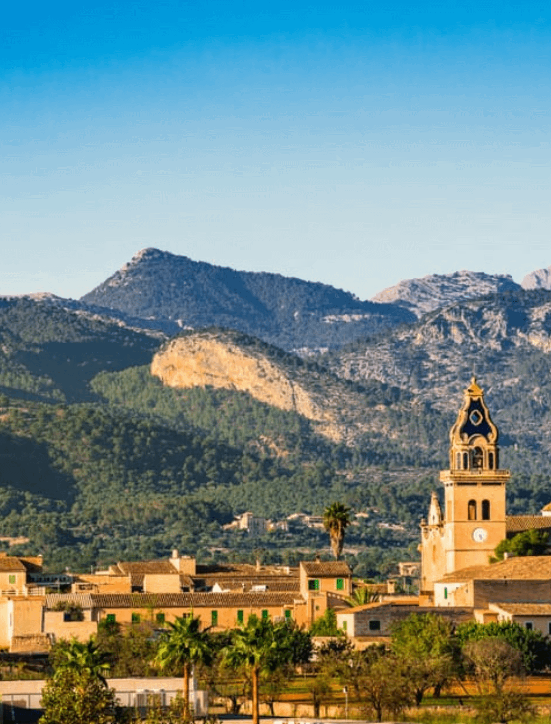 Mallorca Center Homepage