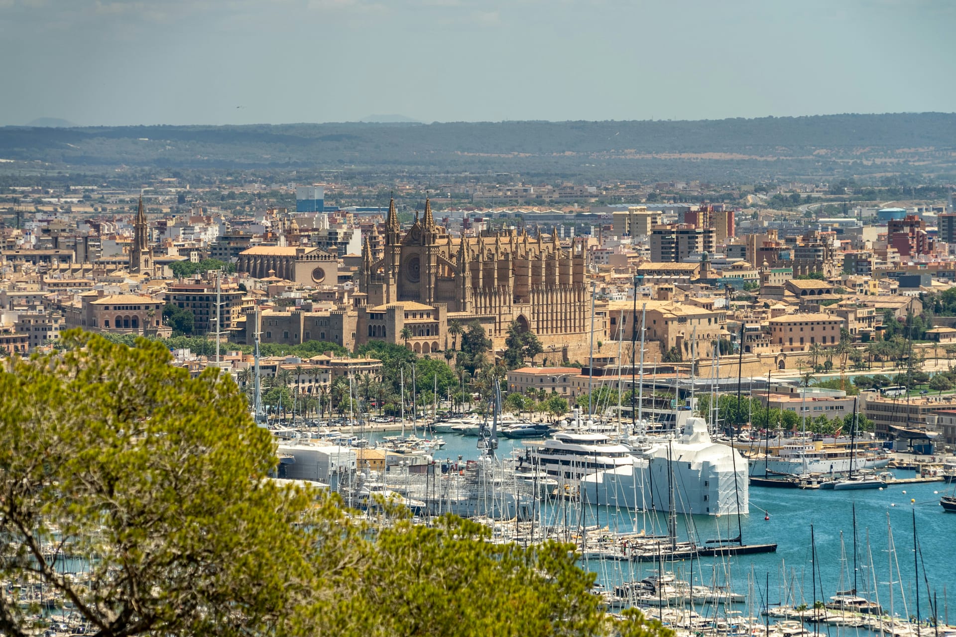 The Cost of Living in Mallorca - The AgencyRe Mallorca