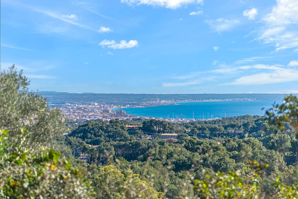 Luxury Property Guide to Son Vida - The Agency Mallorca