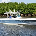 20a655ff-40a3-496c-9622-c57a8527a0a2-pfXcWRCi