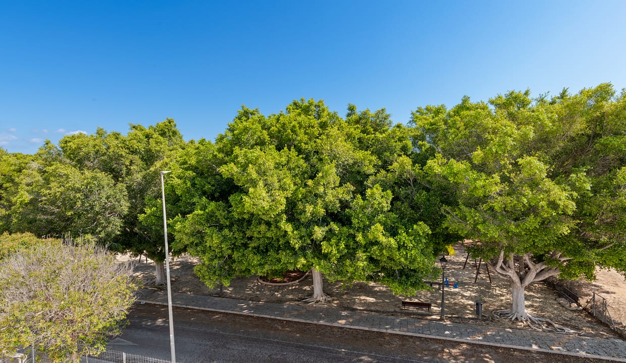 hh63389860-01-image-20