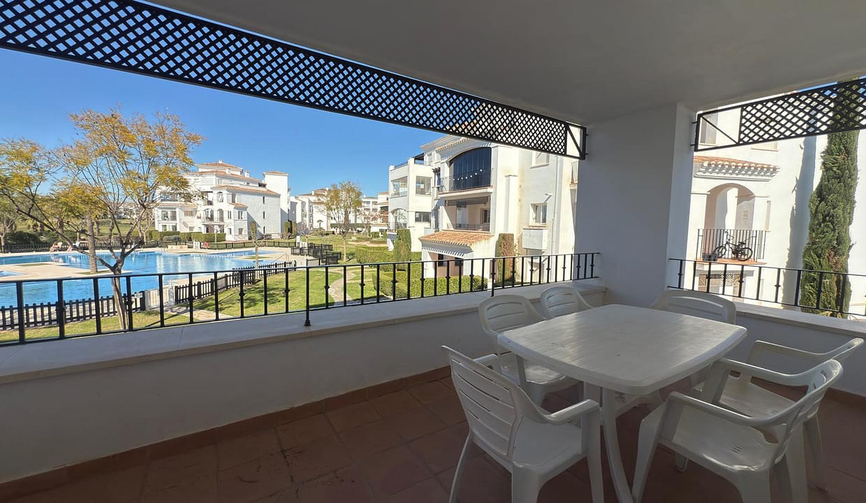 WhatsApp-Image-2026-02-17-at-14.43.19